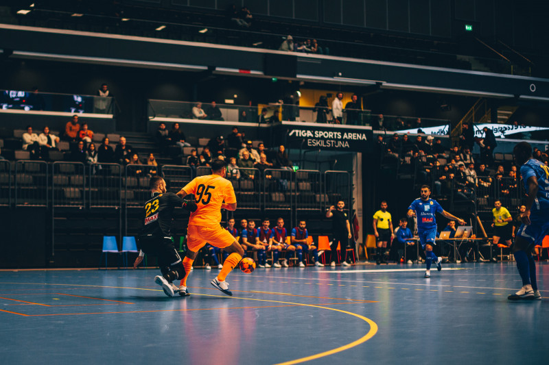 AFC-Futsal-Boras-1DX-221113-8639