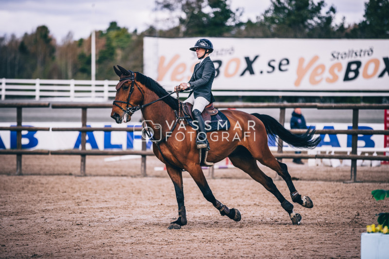 SST-7-Star-Dag-3-Equisport-110-230428-176-4816