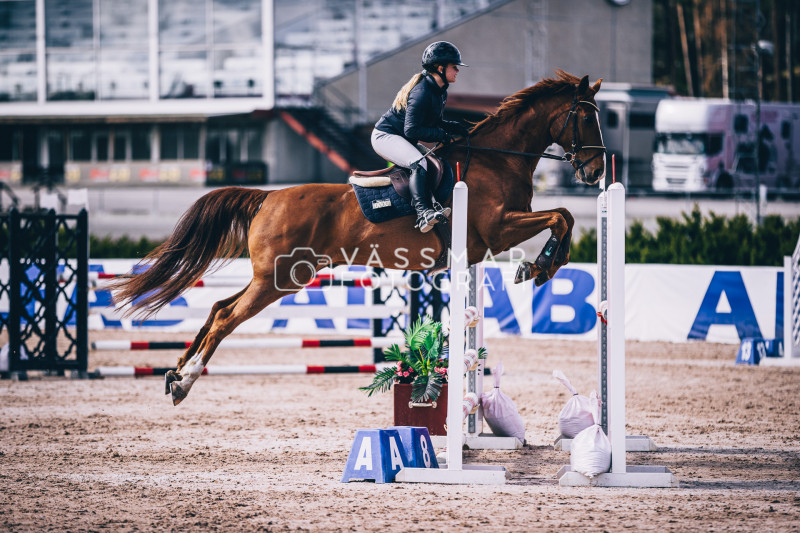 SST-7-Star-Dag-3-Equisport-110-230428-184-4833