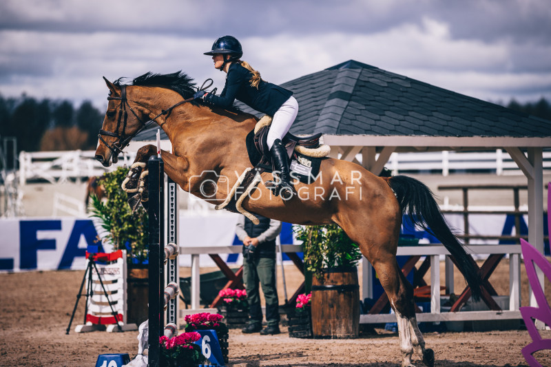 SST-7-Star-Dag-3-Equisport-110-230428-363-5316