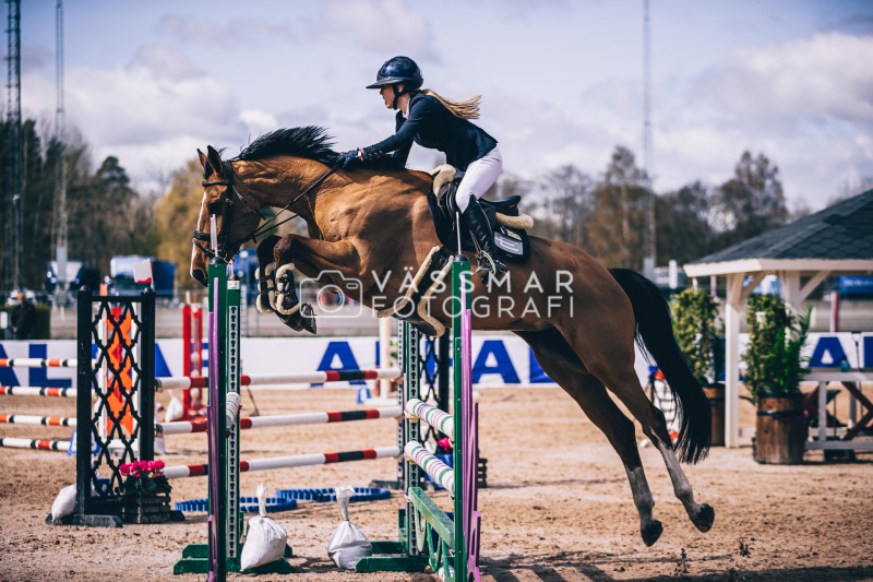 SST-7-Star-Dag-3-Equisport-110-230428-368-5324