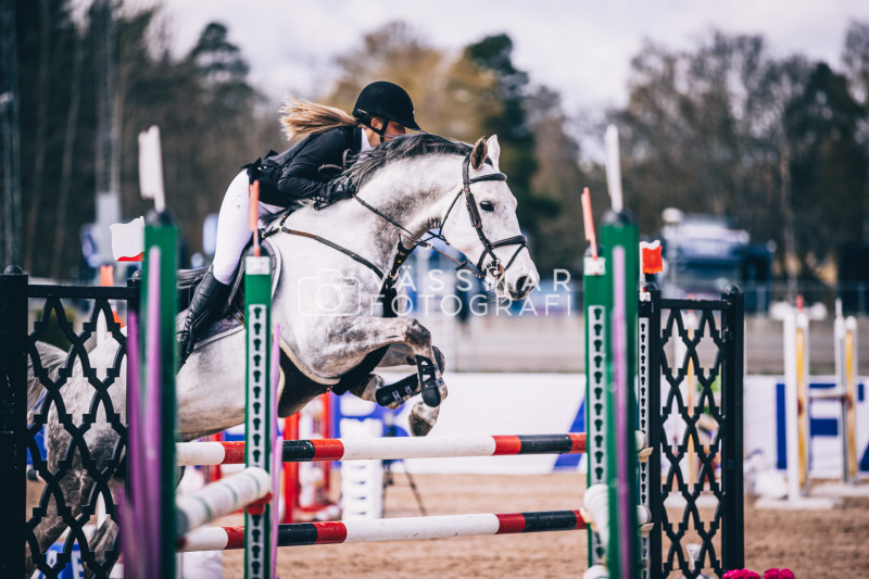 SST-7-Star-Dag-3-Equisport-110-230428-379-5351