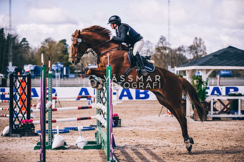 SST-7-Star-Dag-3-Equisport-110-230428-387-5371