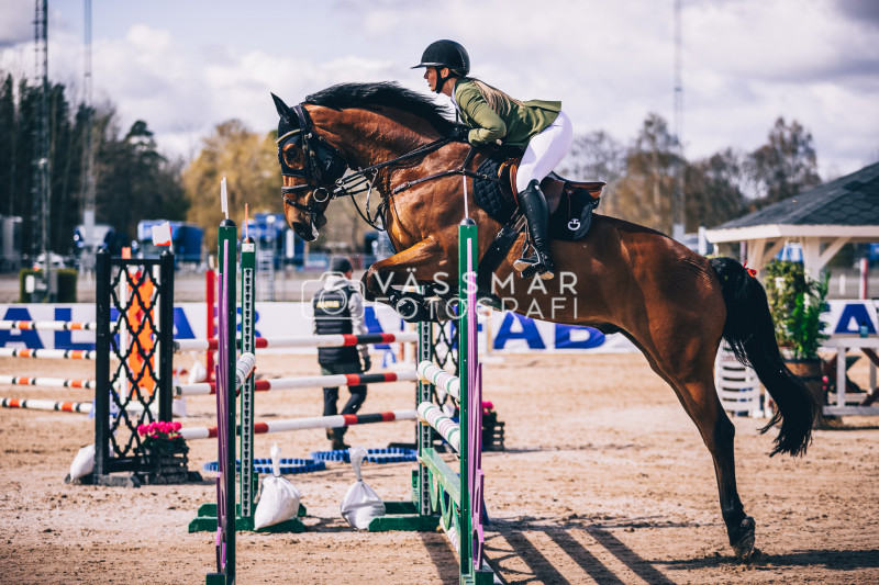 SST-7-Star-Dag-3-Equisport-110-230428-408-5483