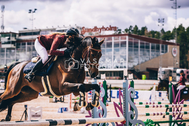 SST-7-Star-Dag-3-Equisport-110-230428-439-5575