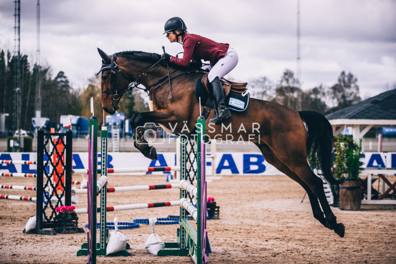 SST-7-Star-Dag-3-Equisport-110-230428-446-5593