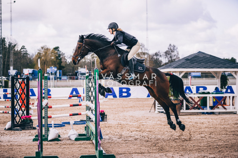 SST-7-Star-Dag-3-Equisport-110-230428-461-5628