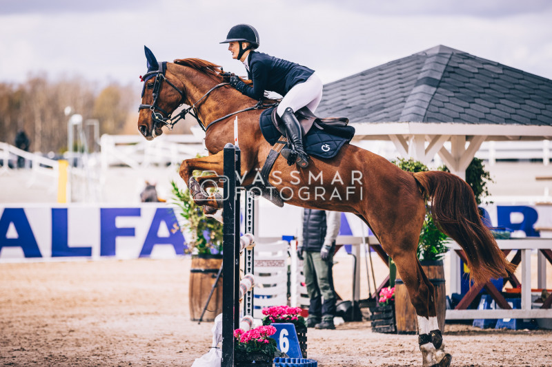 SST-7-Star-Dag-3-Equisport-110-230428-478-5677