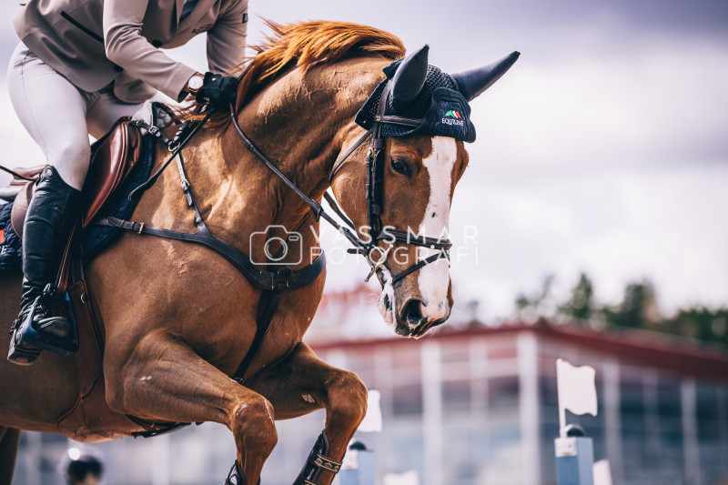 SST-7-Star-Dag-3-Equisport-110-230428-491-5706