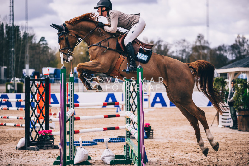 SST-7-Star-Dag-3-Equisport-110-230428-495-5721