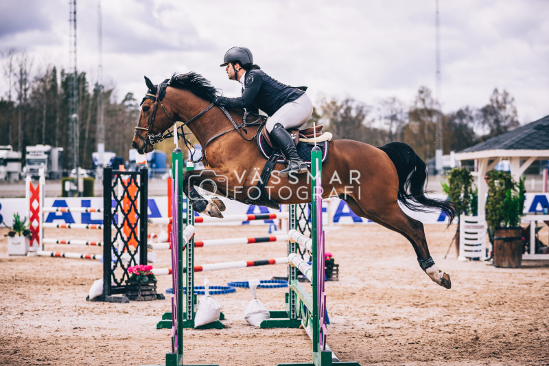 SST-7-Star-Dag-3-Equisport-110-230428-622-6023